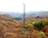 Long-term ecology tower(Gwangneung)