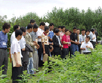 Field training on Rubus coreanus Miquel