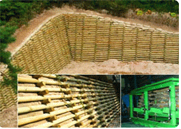 Wooden retaining wall using thinned logs with preservatives