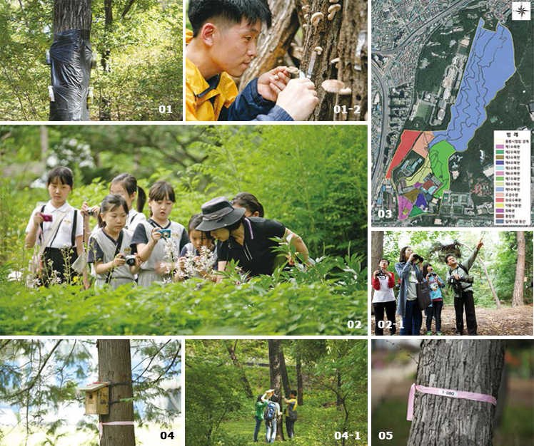 Major activities in the Hongneung Experimental Forest image