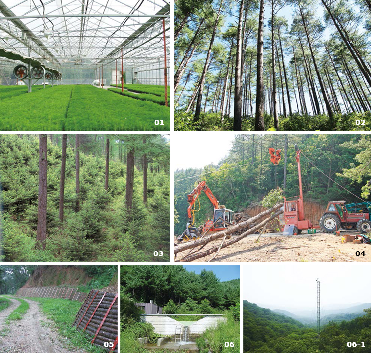 Major activities in the Gwangneung Experimental Forest image(01, 02, 03, 04, 05, 06, 06-1)