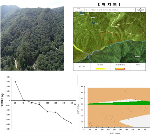 Genetic diversity monitoring for management of forest genetic resources and protected areas