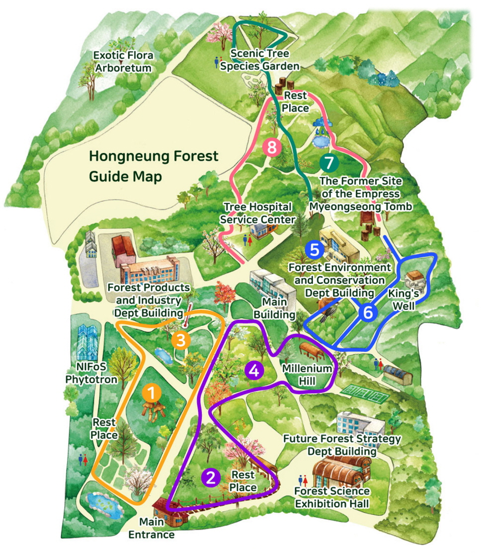 Hongneung Forest Trail