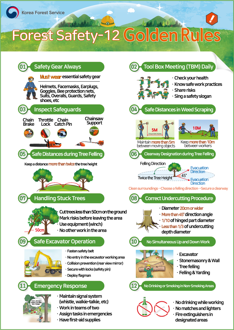 Forest Safety - 12 Golden Rules 