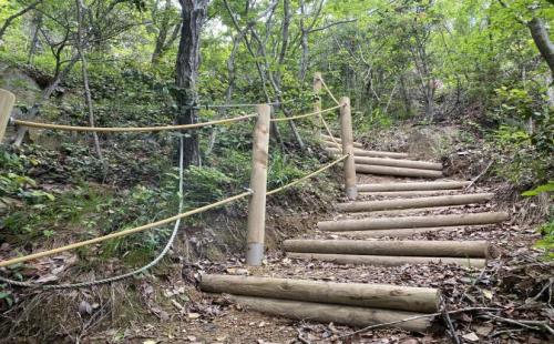 정읍국유림관리소, 회문산 숲길 정비 온힘