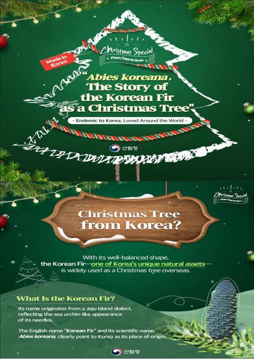 Christmas Special - from Tree to Icon