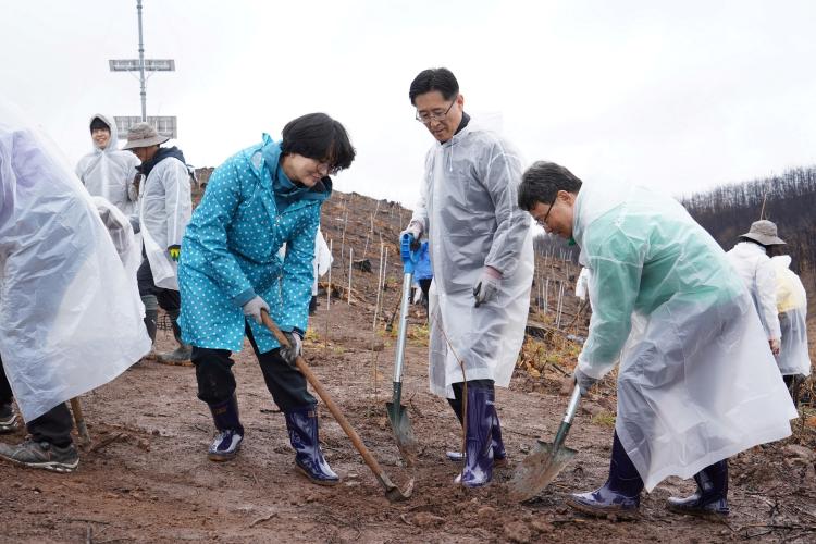박은식 산림청장, 평화의숲과 함께 산불피해지 나무심기 행사 참석