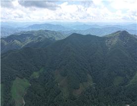 천등산 바람숲