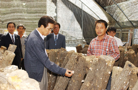 The Chief of the Korea Forest Service Ex...