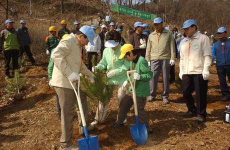 62nd Arbor Day