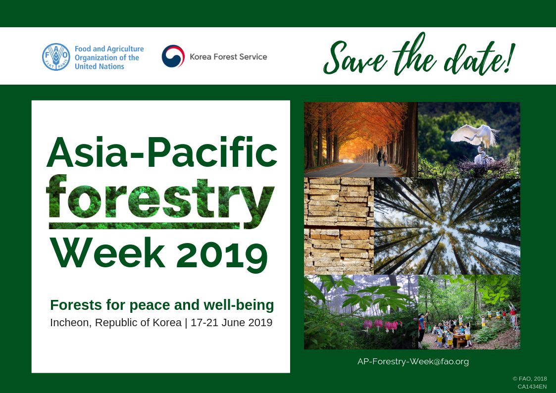 KFS hosts the 4th Asia-Pacific Forestry ...