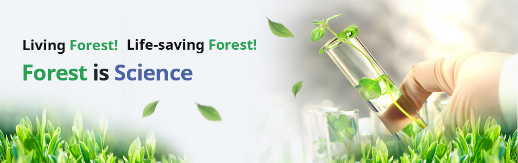 Living Forest! Life-saving Forest! Forest is Science