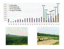 Current status of global forestresource development