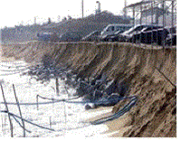 Coastal erosion prevention