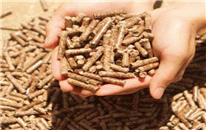 Wood pellet and other solid bio-fuels