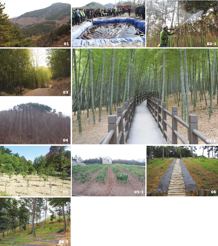 Major activities in the Gwangneung Experimental Forest image(01, 02, 02-1, 03, 03-1, 04, 05, 05-1, 06, 06-1)