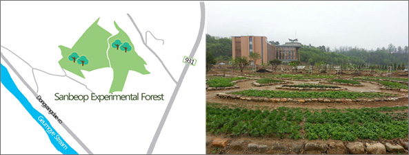 Sanbeop Experimental Forest