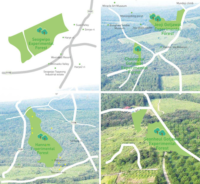 map image - top-left:Seogwipo Experimental Forest, top-right:Jeoji Gotjawal Exporimental Forest, bottom-left:Hannam Experimental Forest, bottom-right:Seonheul Gotjawal Experimental Forest