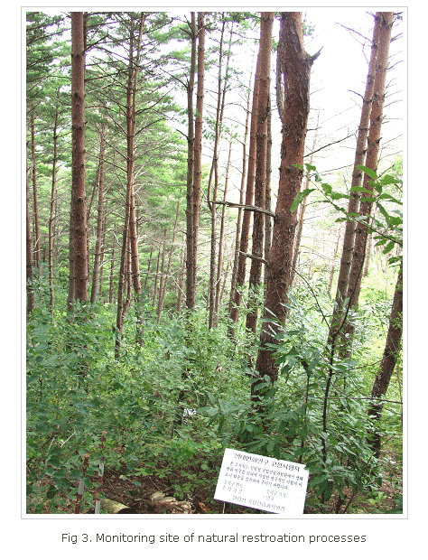Fig 3. Monitoring site of natural restroation processes