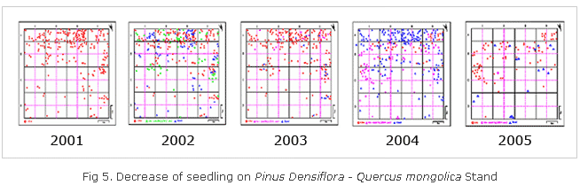 Fig 5. Decrease of seedling on Pinus densiflora - Quercus mongolica Stand