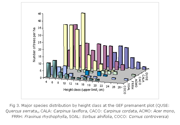 Fig 3. Major species distribution by height class at the GEF permanent plot (QUSE:Quercus serrata