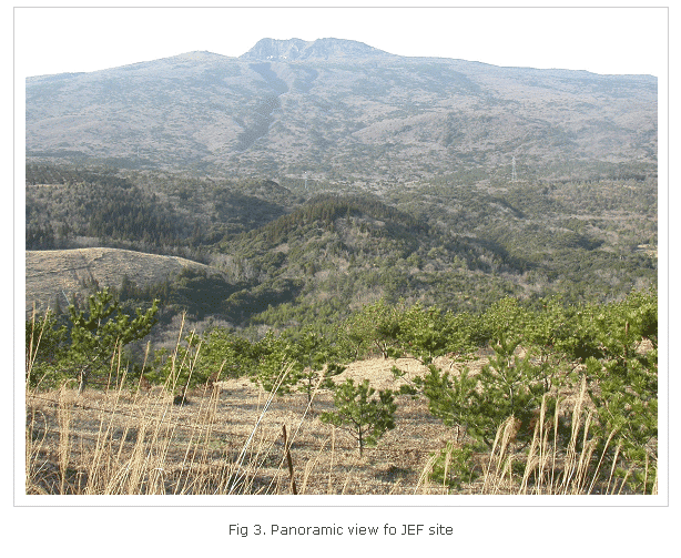 Fig 3. Panoramic view of JEF site