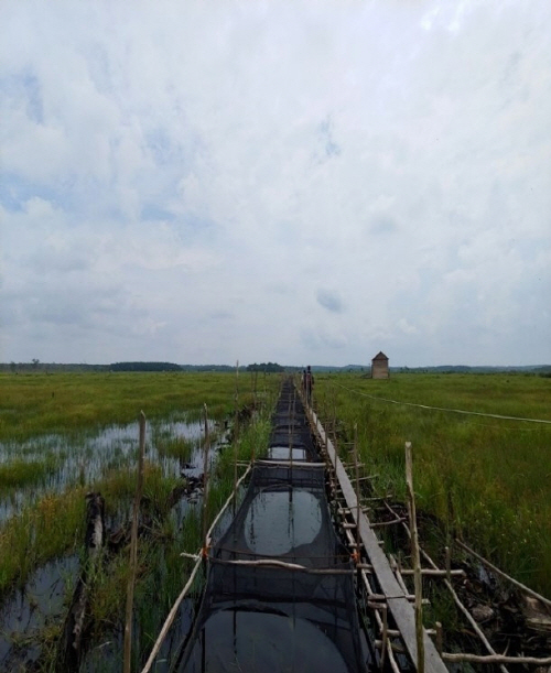 Developing Models for Neighborhood Income Promotion with Peatland Canals