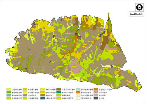 Detailed vegetation map of urban forests