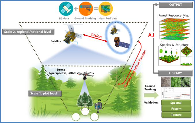Conceptual framework of the forest monitoring