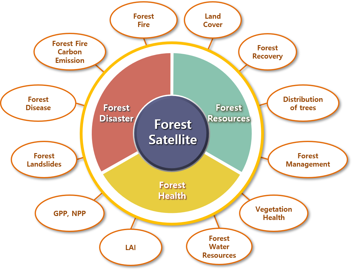Diverse application of satellite imageries to the forestry sector