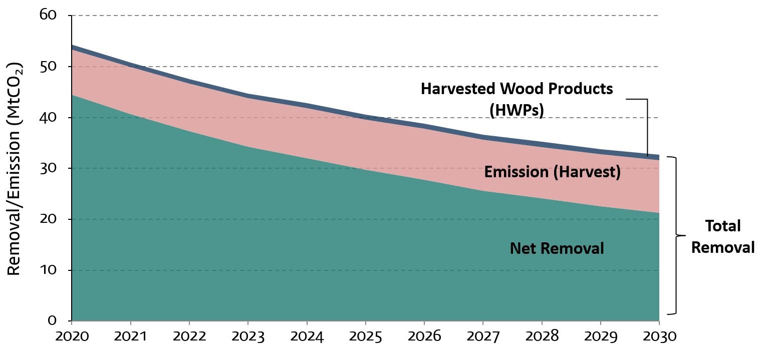 Forecast of greenhouse gas absorption in the forest sector