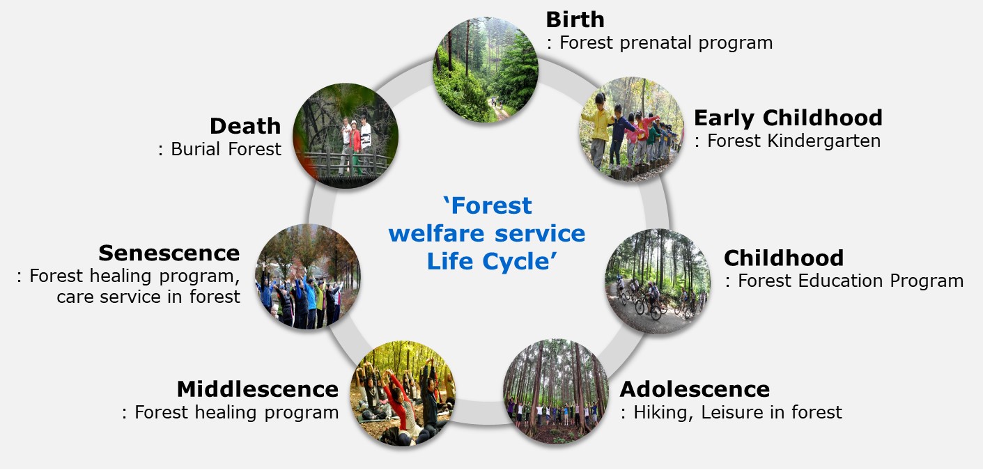 Forest wellfare service life cycle