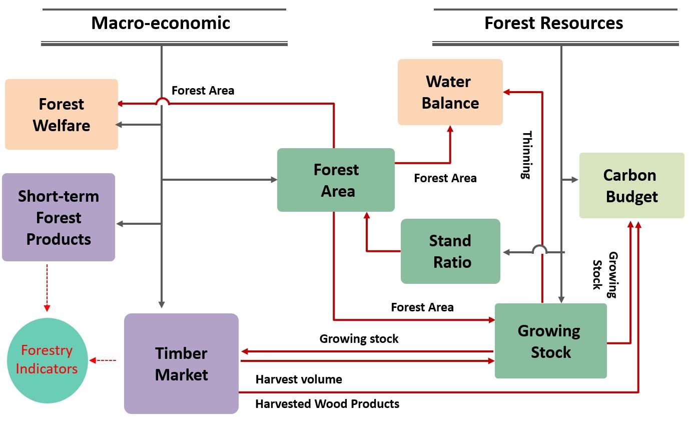 Structure of forest integrated model