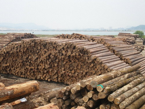 Yard of imported logs