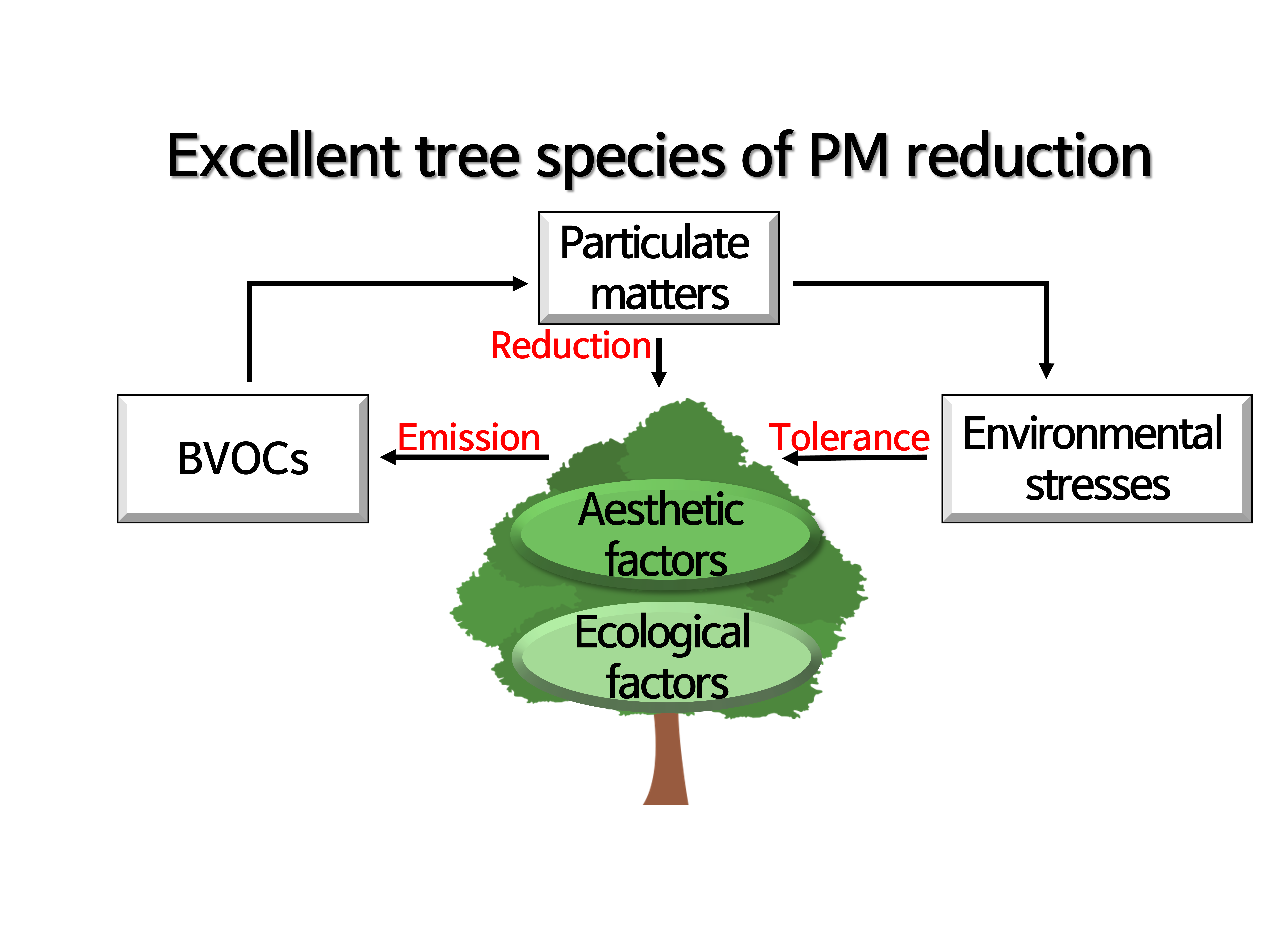 Selection for excellent tree species of PM reduction