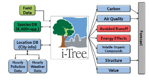 Developing evaluation module of Urban Forests value in Korea
