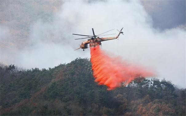 Cutting-Edge Forest Fire Response System (WFC) 이미지1