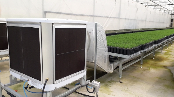 Cooling system in a greenhouse focus on the growing point of root