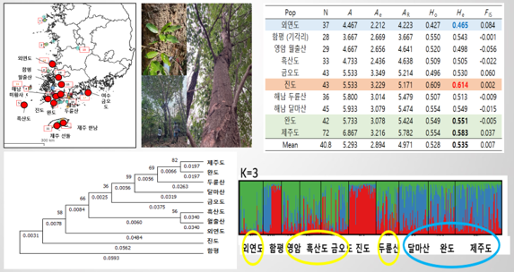 Genetic diversity assessment for conservation of forest genetic resources