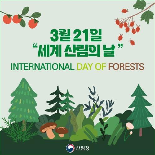 Highlights from the International Day of...