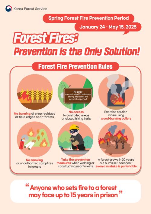 Let’s protect our forests this spring
